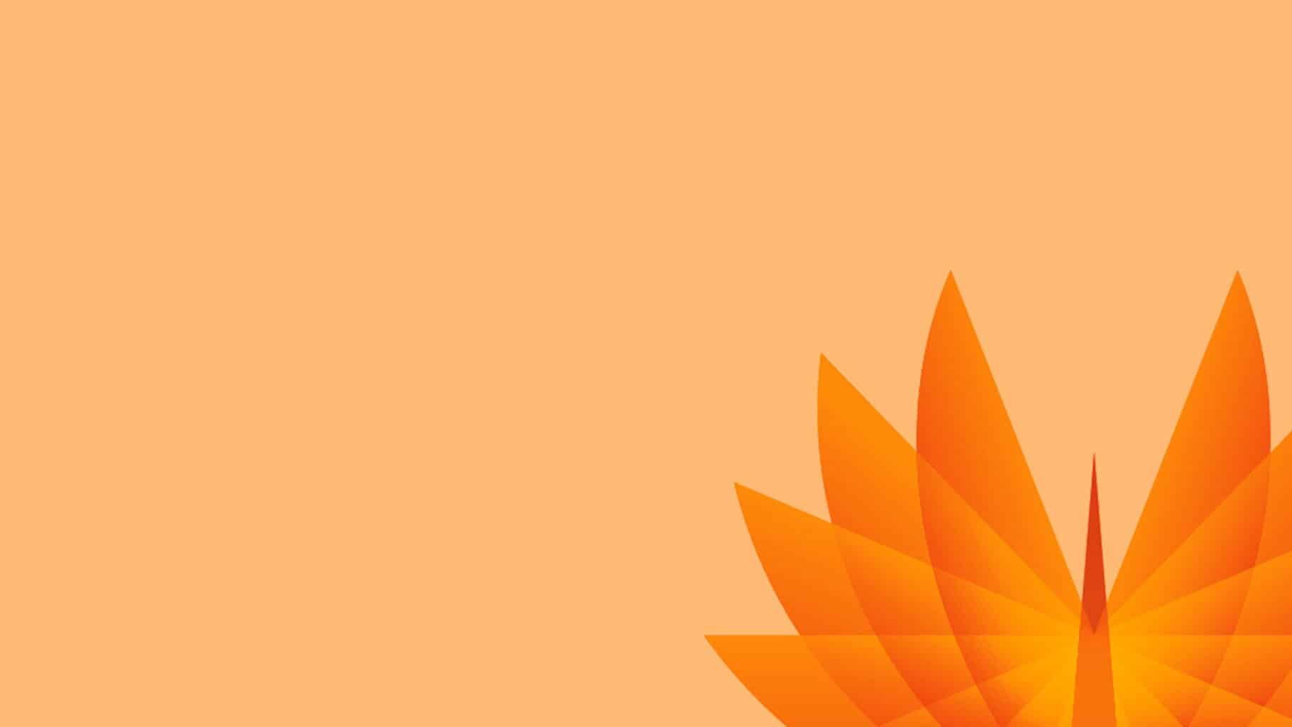 Phoenix Investors News Phoenix Investors News